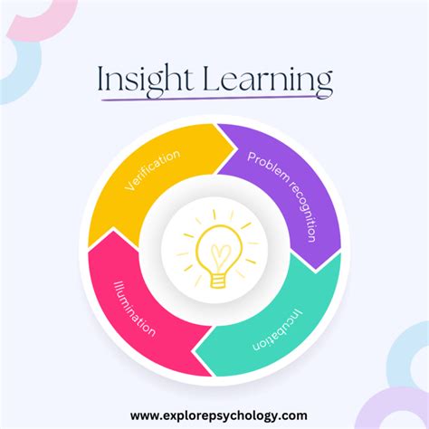 Insight Learning Theory Definition Stages And Examples Explore