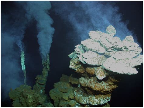 Photograph Of Deep Sea Hydrothermal Vent Mineral Deposits From The