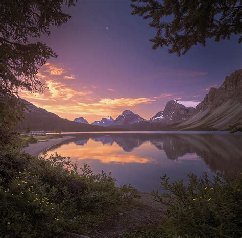 Bow Lake At Dawn Photograph By William Freebilly Photography Pixels
