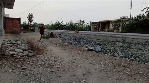 Este pasado sábado se disputó el campeonato de españa de clubes sub20 donde se han proclamado campeones el go fit athletics en hombres y el valencia club atletismo, ambos, en su propia casa. Practica de marcha atlética, carrera de velocidad y salto ...