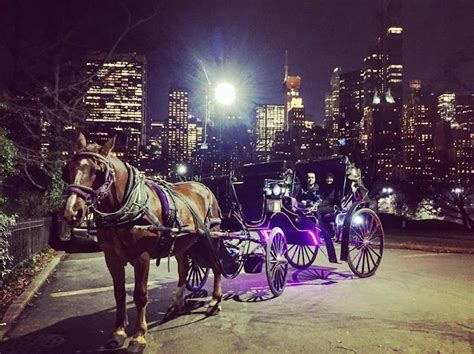 Short Central Park Horse Carriage Ride New York City Adventure