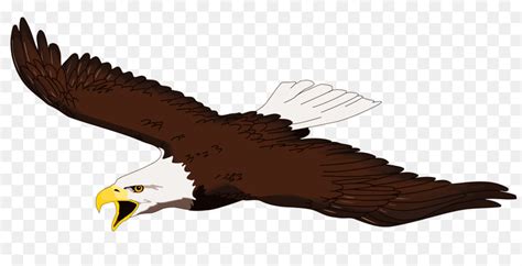 Flying Eagle Clipart At Getdrawings Free Download