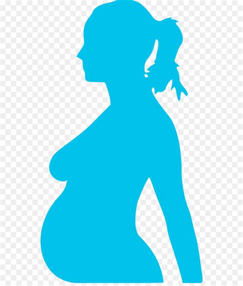 Kehamilan Siluet Wanita Gambar Png