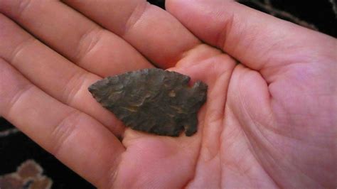 Stealing Land From the Indians: Does Might Make Right? | Wild Truth