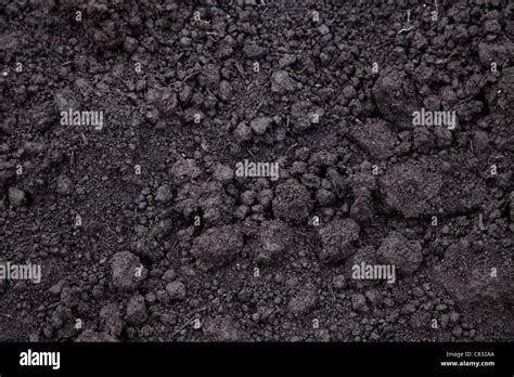 Black Soil For Textured Background Stock Photo Alamy