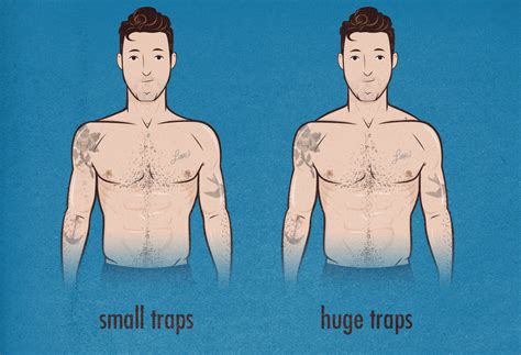 The following explanations and videos will show how to. how-to-build-broader-shoulders-trap-trapezius-size-bony-to ...