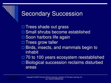 Ppt Biological Succession Powerpoint Presentation Free Download Id