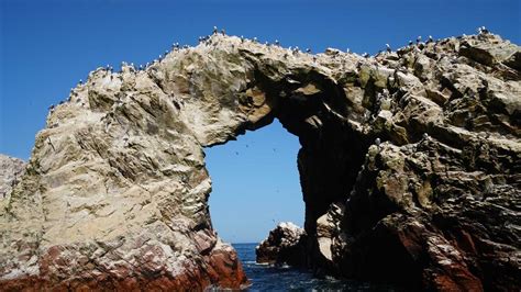Ballestas Islands Discover The World