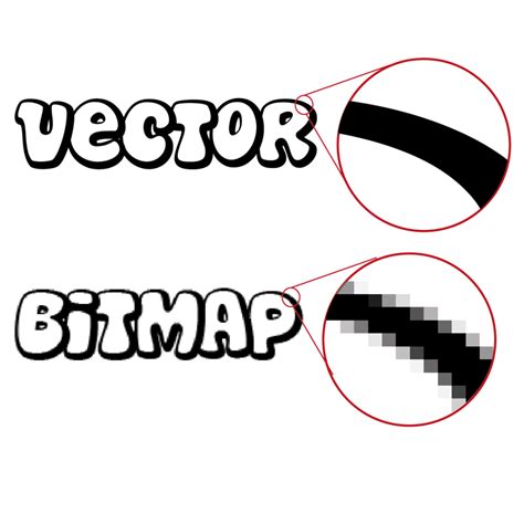 Bitmap And Vector