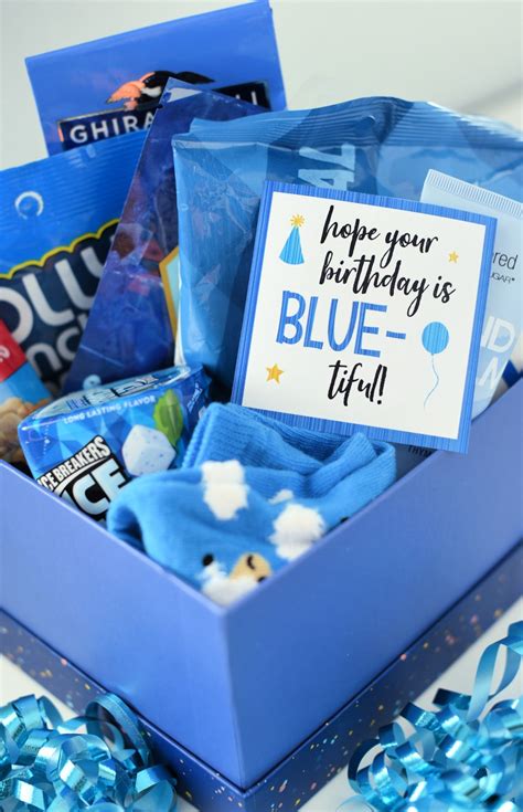 Blue Themed Birthday T Idea Crazy Little Projects