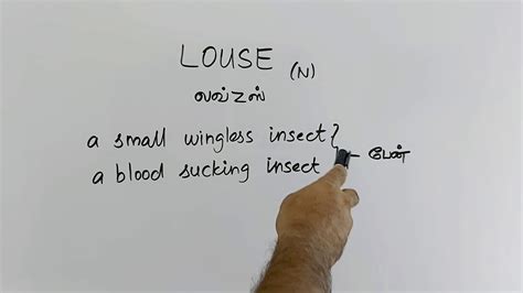 Select the text to see examples. LOUSE tamil meaning/sasikumar - YouTube