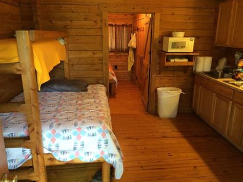 We did not find results for: Skyline Cabin - Picture of Yogi Bear's Jellystone Park ...