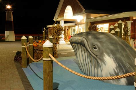 Home Page [holtsvillehal.org]