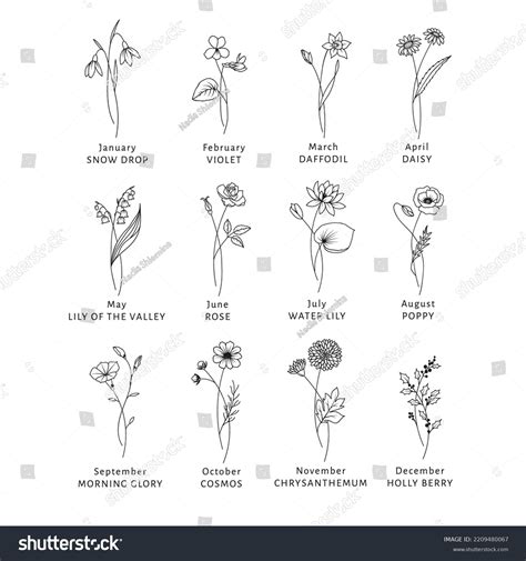 Aggregate 84+ june birth month flower tattoo - in.coedo.com.vn
