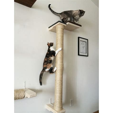 10 Best Cat Climbing Poles To Keep Your Kitty Active And Entertained At