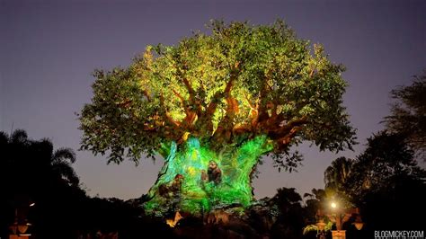 Tree Of Life Awakenings Disney Medley 4k 2022 Youtube