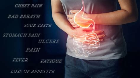 Functional Endocrinology Stomach Digestive Disorders • Chiropractic