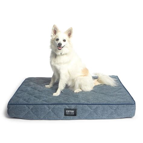 R2p Pet Cesar Millan Ortho Sleeper Mat Dog Bed