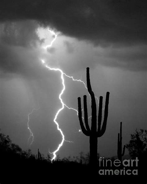 Monsoon Weather Thunderstorm Lightning Bolt Striking Next To A Giant