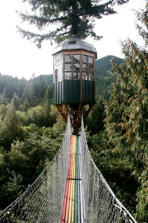 New built cabin in the wilderness, 2 bed 1.75 bath with a loft and full kitchen, now completed and ready for you to escape to the woods and enjoy, ashford is close to mount rainier with hiking, skiing, hunting, mountain climbing and all the great outdoors has to offer. Have a Look on Top Stunning Tree House around the Globe ...