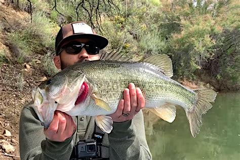 Bass Fishing In Southern California What You Need To Know