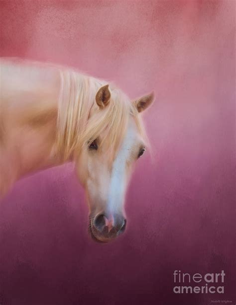 Pretty In Pink Palomino Pony Photograph By Michelle Wrighton