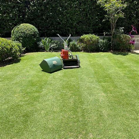 How To Get A Lush Green Lawn Ian Barker Gardens
