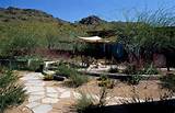 Images of Backyard Landscaping Tucson Az