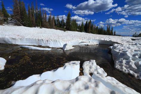 Melting Snow In The Mountains Stock Photo Image Of Nature American