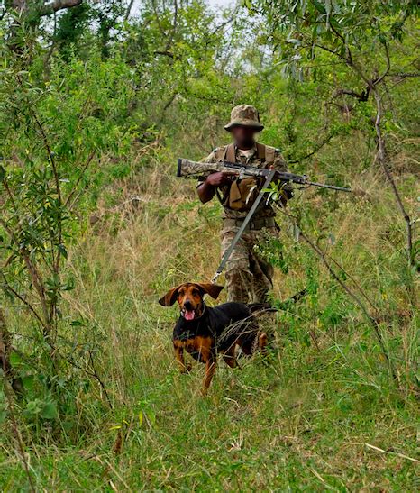 Sanparks Honorary Rangers Add Three New K9 Members To The Pack