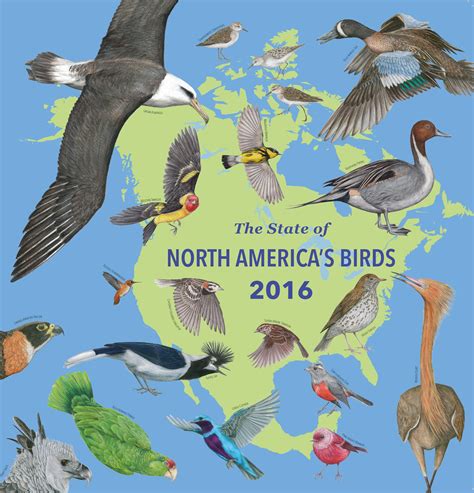 Acknowledgments State Of North Americas Birds 2016
