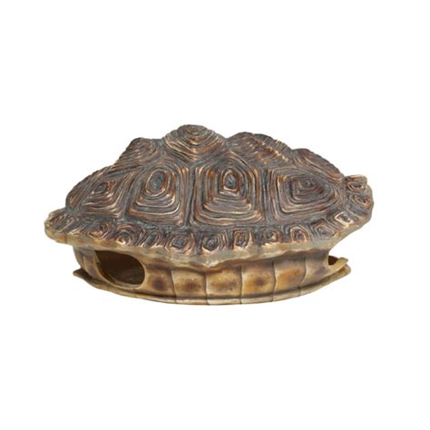 Caparazón de tortuga marrón para colgar