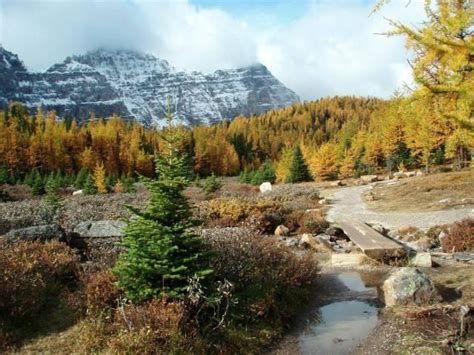 12 Great Hikes In Banff National Park Hiking Alberta