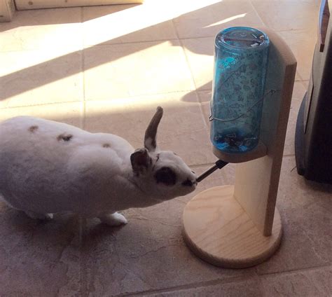 Rabbit Guinea Pig Chinchilla Water Bottle Holder Bunnyrabbitshop