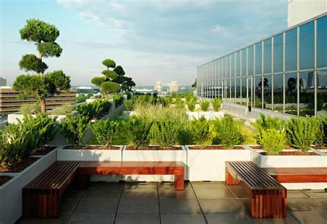 Green Roofs Are Changing The Way Architects Design Buildings