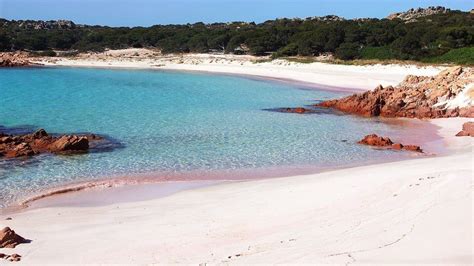 The Pink Beach Of Budelli La Maddalena Beaches Of Sardinia Pint