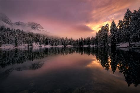 Mountains Forest Trees Fir Fog Clouds Snow Winter Italy Lake