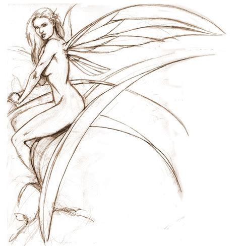 Sexy Fairy Sketches Drawings Fairy Drawings Image Search Results