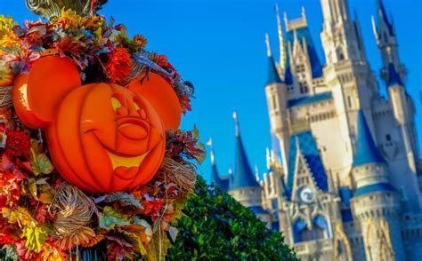 Complete Guide To 2023 Disney World Halloween Events 2023 Disney