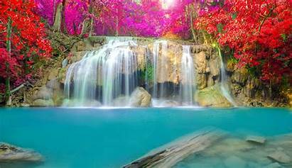 Nature Water Waterfall Autumn Landscape Dog Wallpapers
