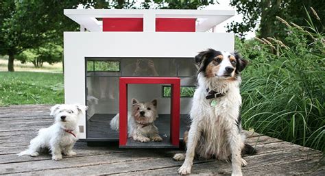 แบบบ้านสุนัข หลังใหญ่ สไตล์โมเดิร์น ความสุขน้อยๆ ของหมาคุณ บ้านไอเดีย