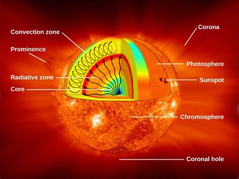 The Structure And Composition Of The Sun Astronomy