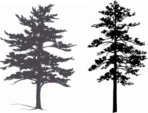 Aspen Tree Clipart Silhouette 10 Free Cliparts Download Images On
