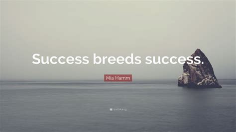 Successful people associate with successful people. Mia Hamm Quote: "Success breeds success." (9 wallpapers) - Quotefancy