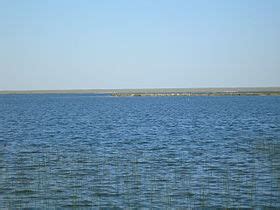Count on the real estate pros of lake cumberland ky! Lake Newell - Wikipedia