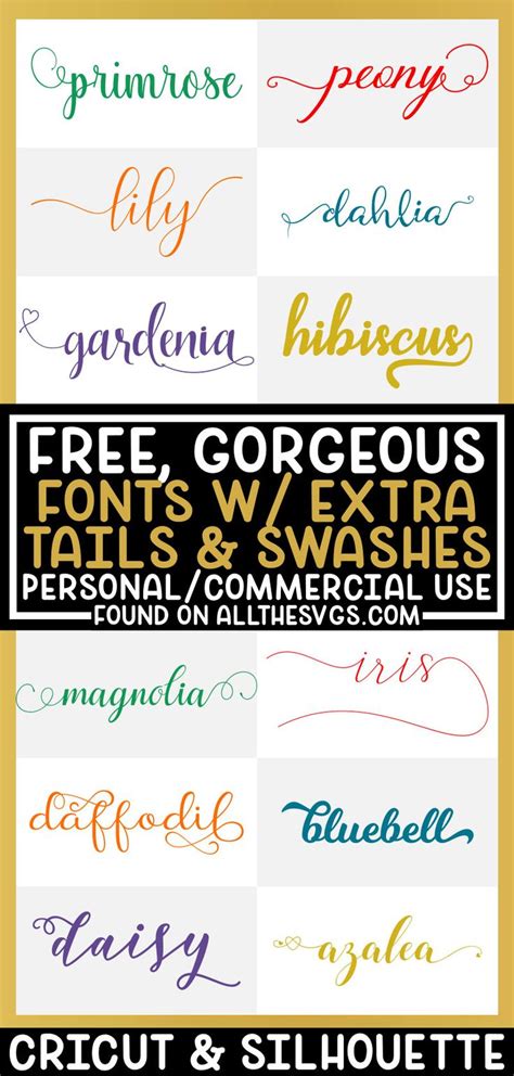 Free Fonts With Tails Alternate Swashes Extra Glyphs Professional