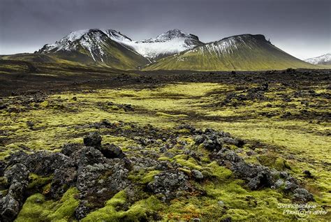 Moss Covered Lava Rocks Highlands Iceland Europe Synnatschke