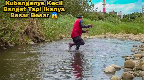 Kubanganya Kecil Banget Tapi Ikanya Besar Besar Jala Ikan Fishing