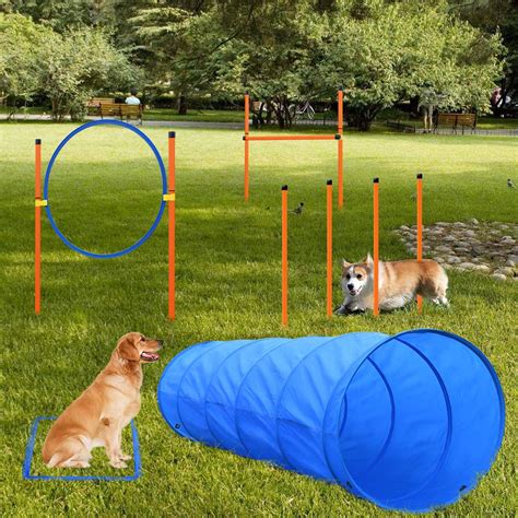 Buy Xiaz Dog Agility Equipments Obstacle Courses Training Starter Kit