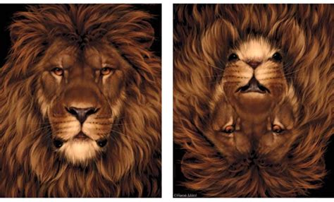 Fantasy Art Of Illusion Amazing Lion And Mouse Optical